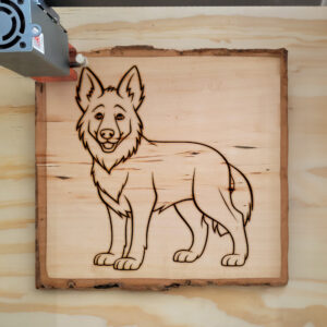 82417_wood-laser-1.jpg
