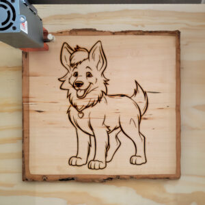 82419_wood-laser-1.jpg