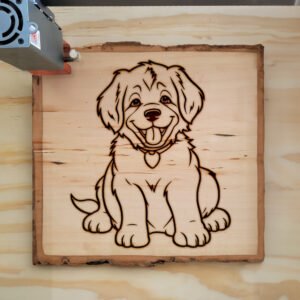82421_wood-laser-1.jpg