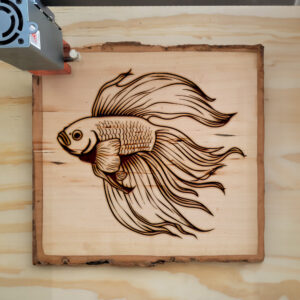 82427_wood-laser-1.jpg