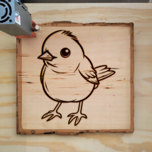 82439_wood-laser-1.jpg