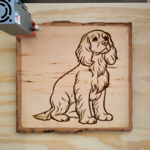 82457_wood-laser-1.jpg