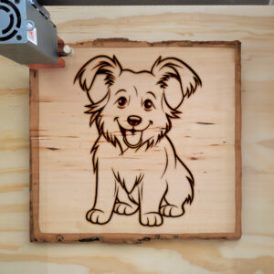 82471_wood-laser-1.jpg