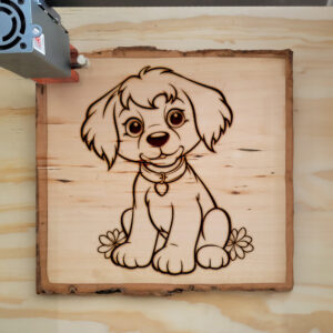 82473_wood-laser-1.jpg
