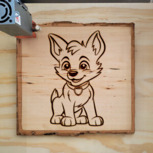 82477_wood-laser-1.jpg