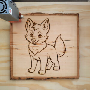 82483_wood-laser-1.jpg