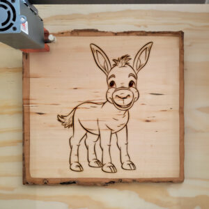 82487_wood-laser-1.jpg