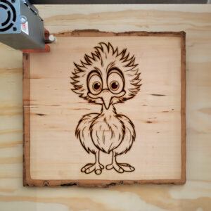 82499_wood-laser-1.jpg
