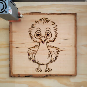 82501_wood-laser-1.jpg