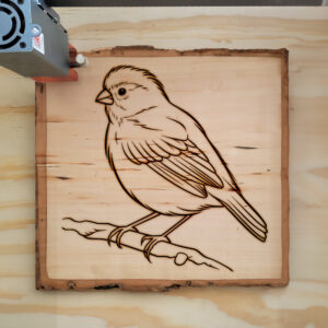 82507_wood-laser-1.jpg