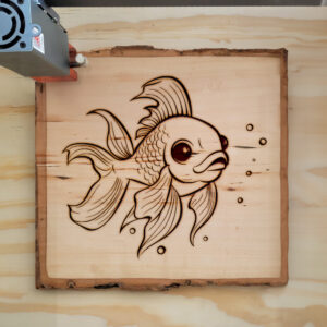 82511_wood-laser-1.jpg