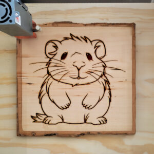 82529_wood-laser-1.jpg