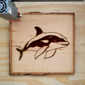 82553_wood-laser-1.jpg