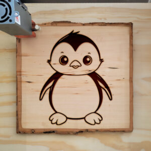 82563_wood-laser-1.jpg