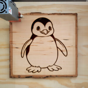 82565_wood-laser-1.jpg