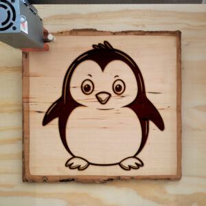 82567_wood-laser-1.jpg