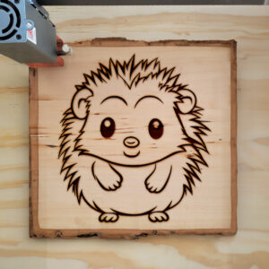 82615_wood-laser-1.jpg