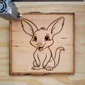 82643_wood-laser-1.jpg