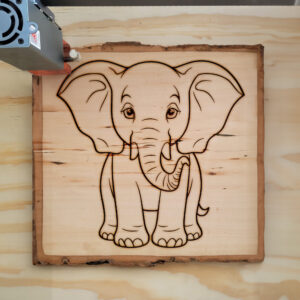 82697_wood-laser-1.jpg