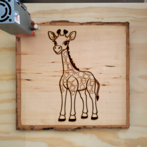 82717_wood-laser-1.jpg