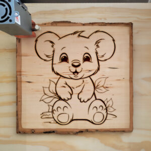 82762_wood-laser-1.jpg