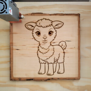 82770_wood-laser-1.jpg