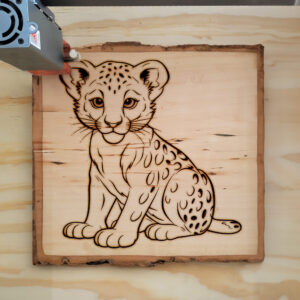 82777_wood-laser-1.jpg