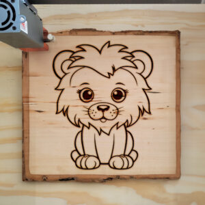 82781_wood-laser-1.jpg