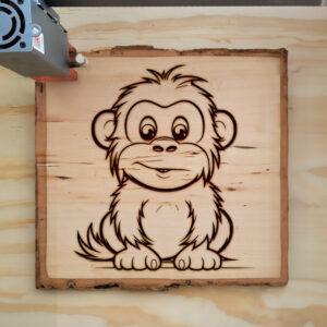 82802_wood-laser-1.jpg