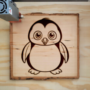 82818_wood-laser-1.jpg