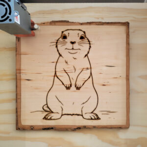 82828_wood-laser-1.jpg