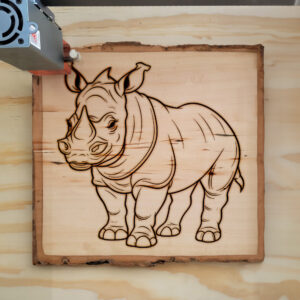 82838_wood-laser-1.jpg