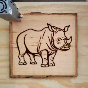 82840_wood-laser-1.jpg