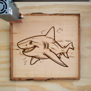 82848_wood-laser-1.jpg