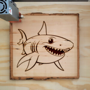 82852_wood-laser-1.jpg