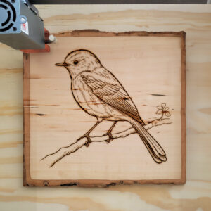 82858_wood-laser-1.jpg