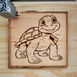 82880_wood-laser-1.jpg
