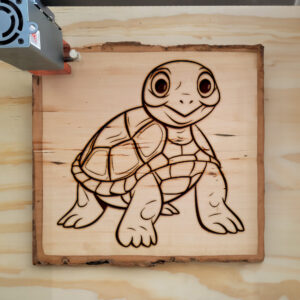82882_wood-laser-1.jpg