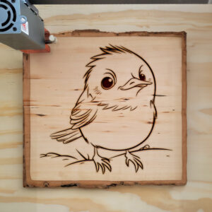 82888_wood-laser-1.jpg