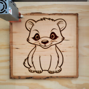 82912_wood-laser-1.jpg