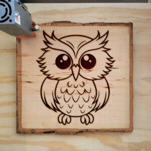 83047_wood-laser-1.jpg