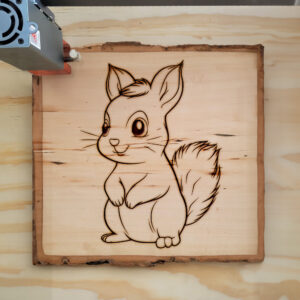 83077_wood-laser-1.jpg