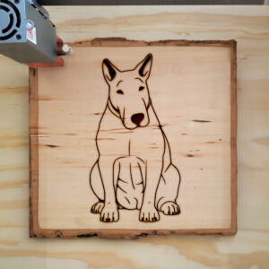 83237_wood-laser-1.jpg