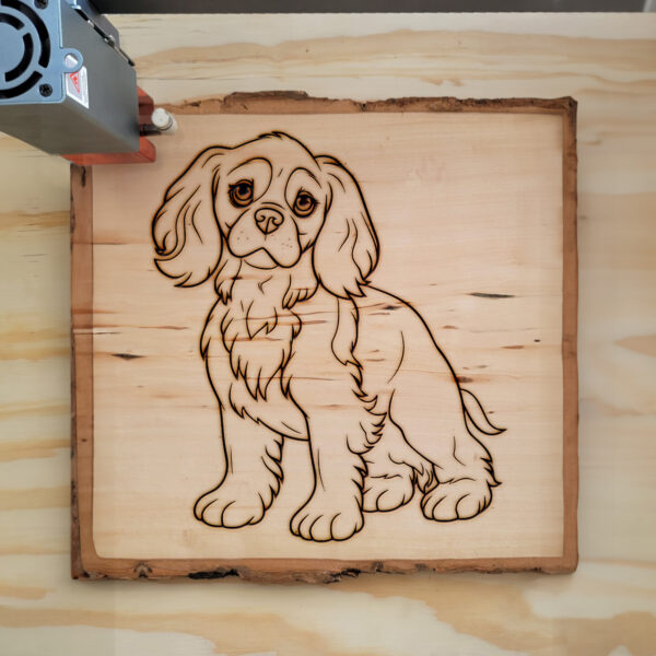 Cavalier King Charles Spaniel SVG File for Cricut and Silhouette