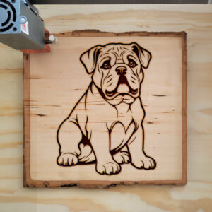 83308_wood-laser-1.jpg