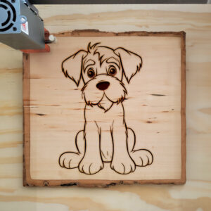 83402_wood-laser-1.jpg