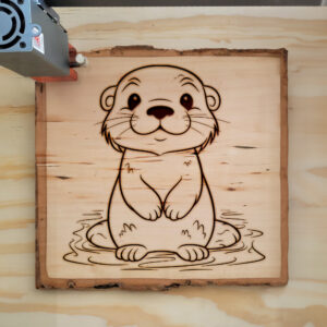 83414_wood-laser-1.jpg