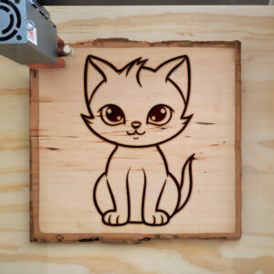 83432_wood-laser-1.jpg