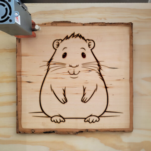 Hamster Free Burning Studio - Download