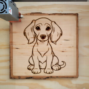 83645_wood-laser-1.jpg